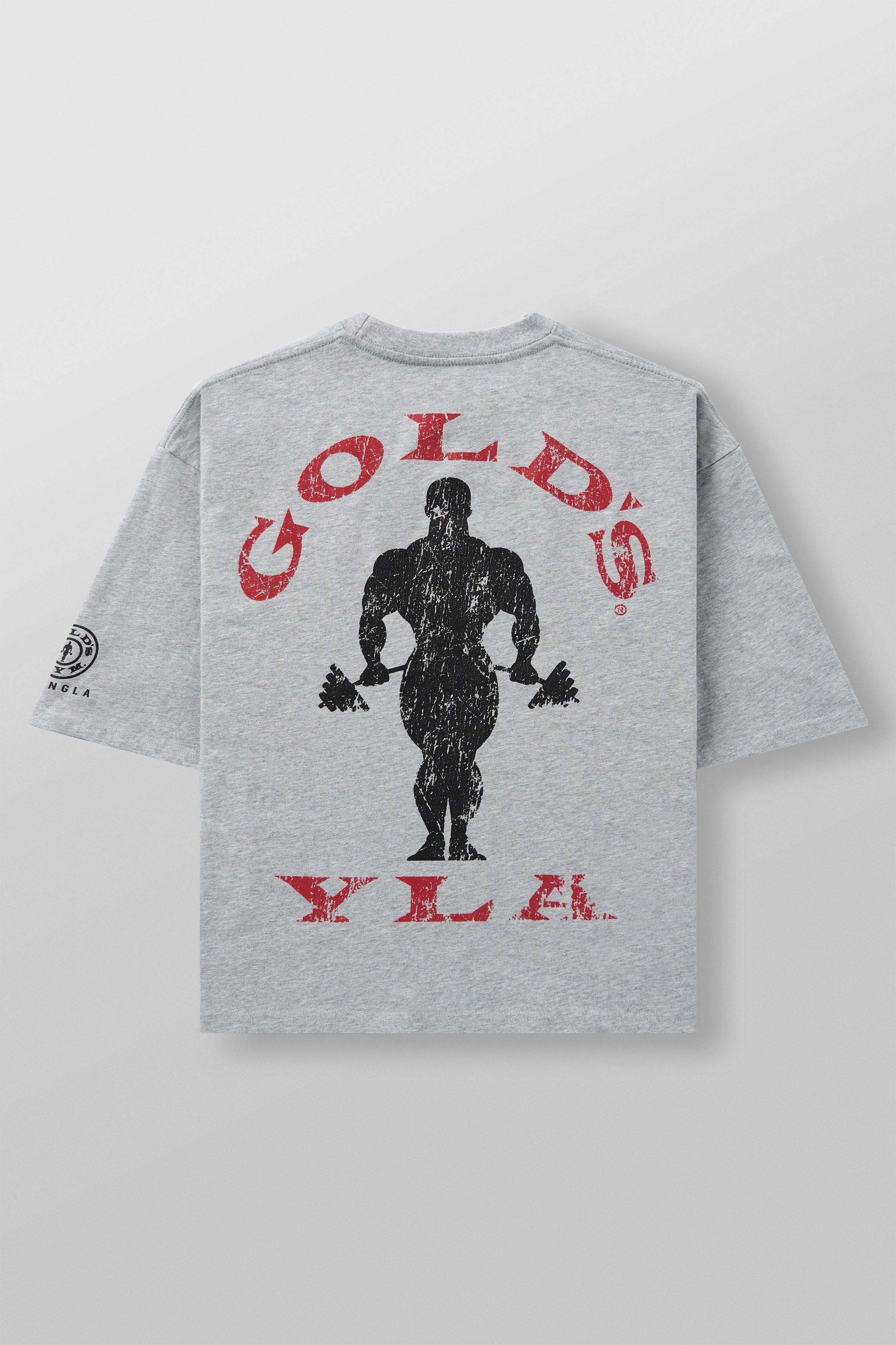 4002 - Golds Gym New Age Tees - Heather Grey