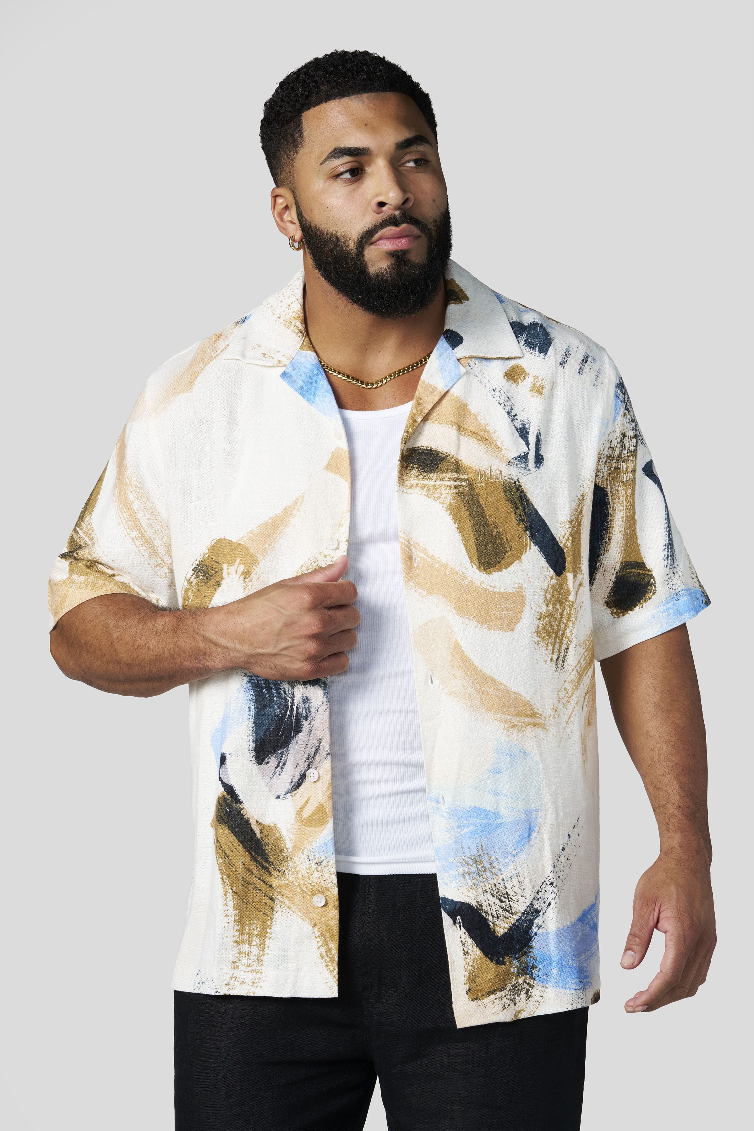 4087 - Riviera Art Button-Ups - Brushstroke