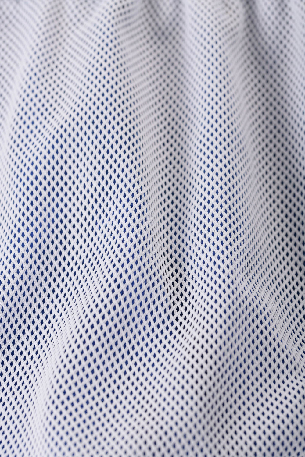 140 Frooty Swim Shorts