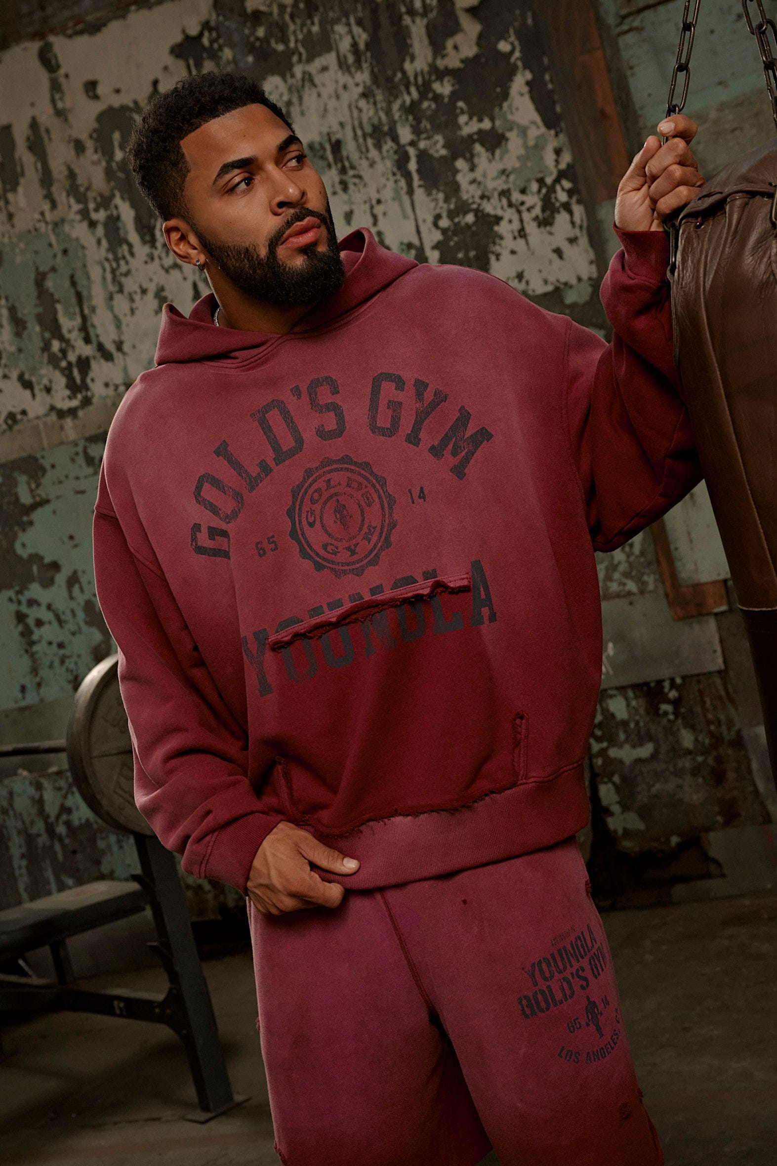 5167 - Gold's Iron Legacy Crest Hoodies - Burgundy