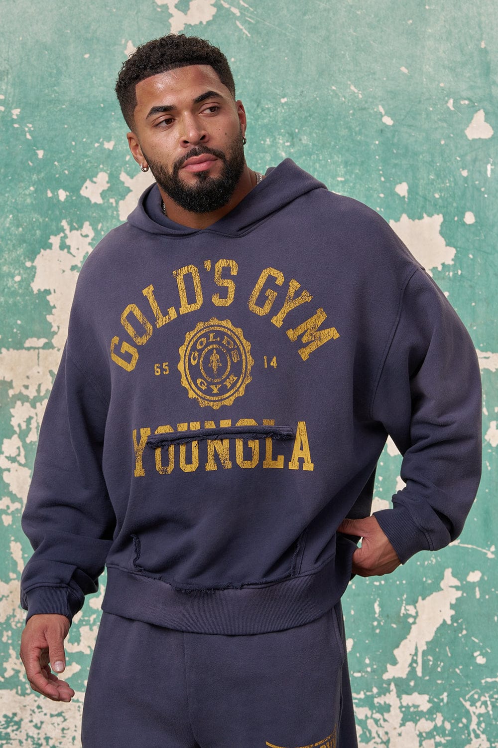 5167 - Gold's Iron Legacy Crest Hoodies - Navy